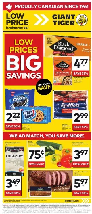 Giant Tiger Flyer - 1