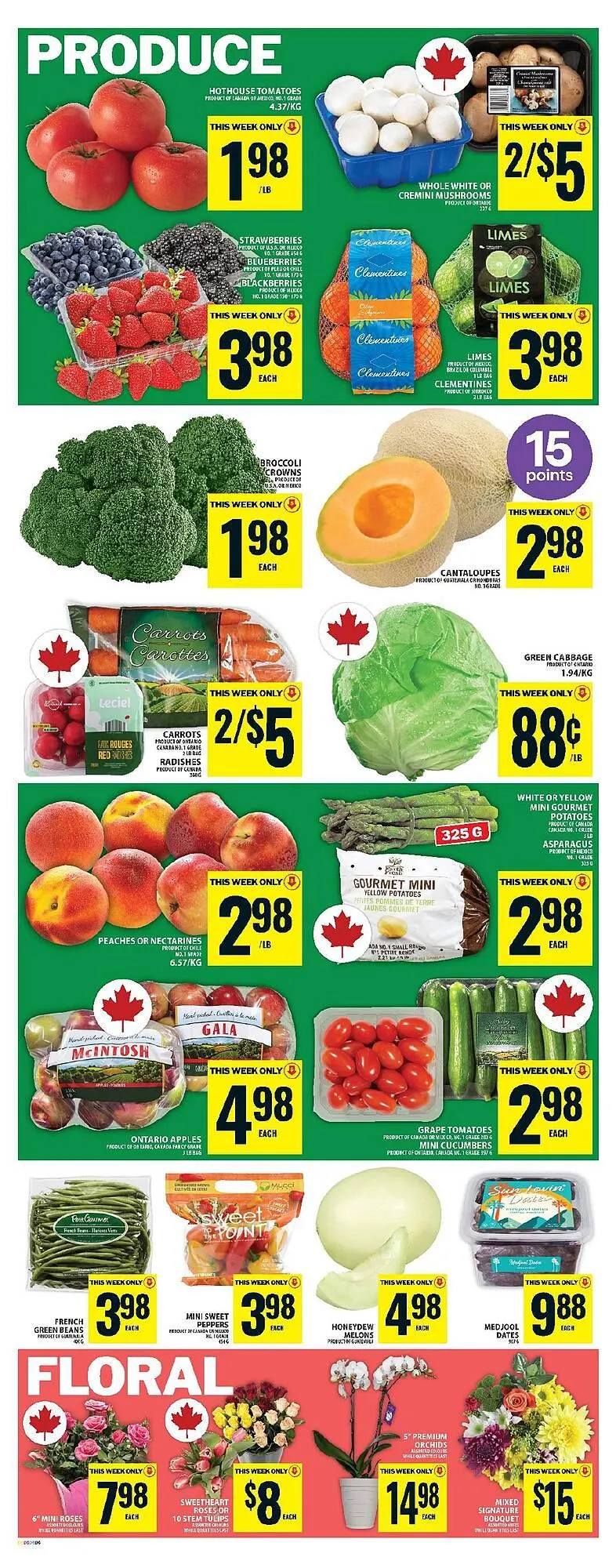 Food Basics flyer from March 27 to April 2 2025 - flyer page 9