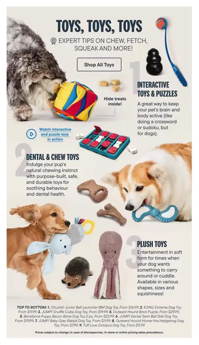 Devoted Dog Parent Guide from March 3 to March 31 2025 - flyer page 20