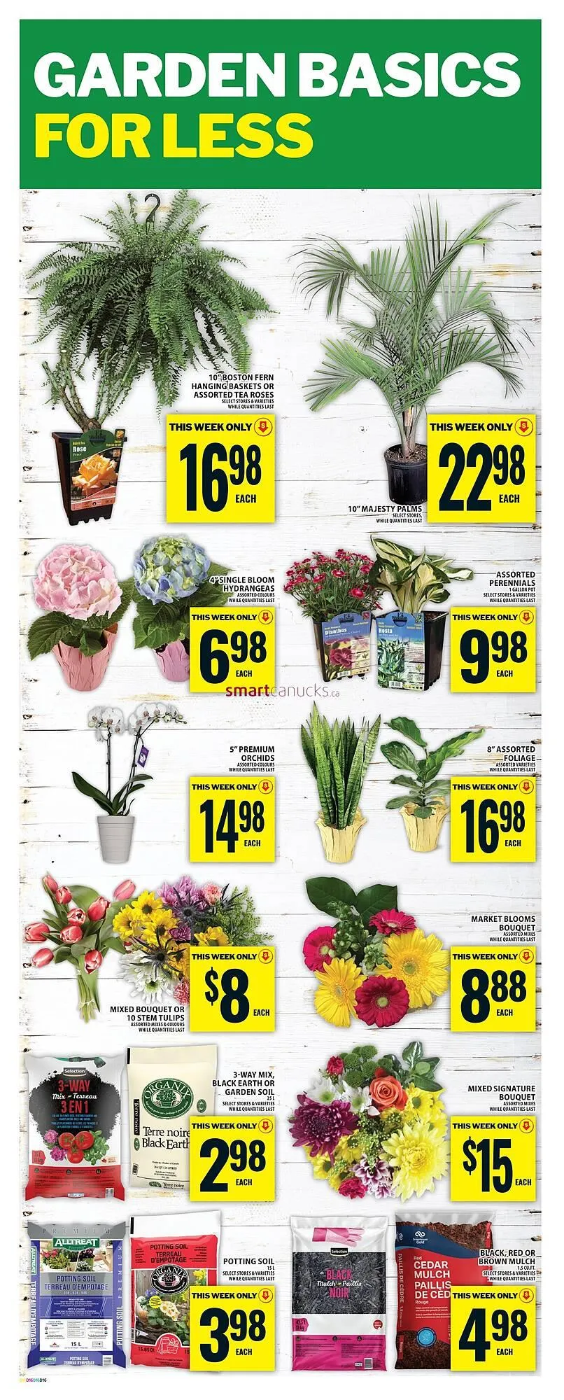 Food Basics flyer from May 1 to May 7 2025 - flyer page 20