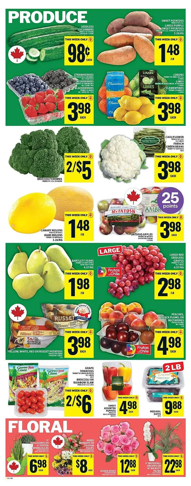 Food Basics flyer from April 3 to April 9 2025 - flyer page 9