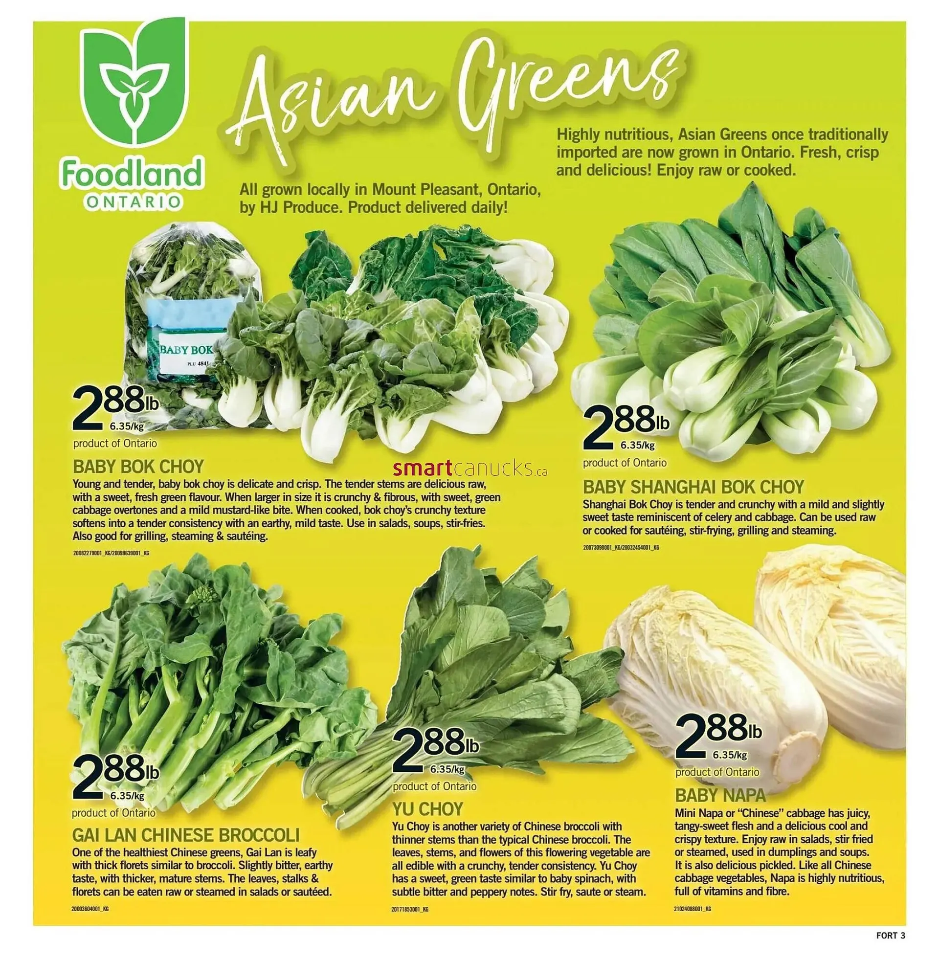 Fortinos flyer from September 11 to September 17 2025 - flyer page 4