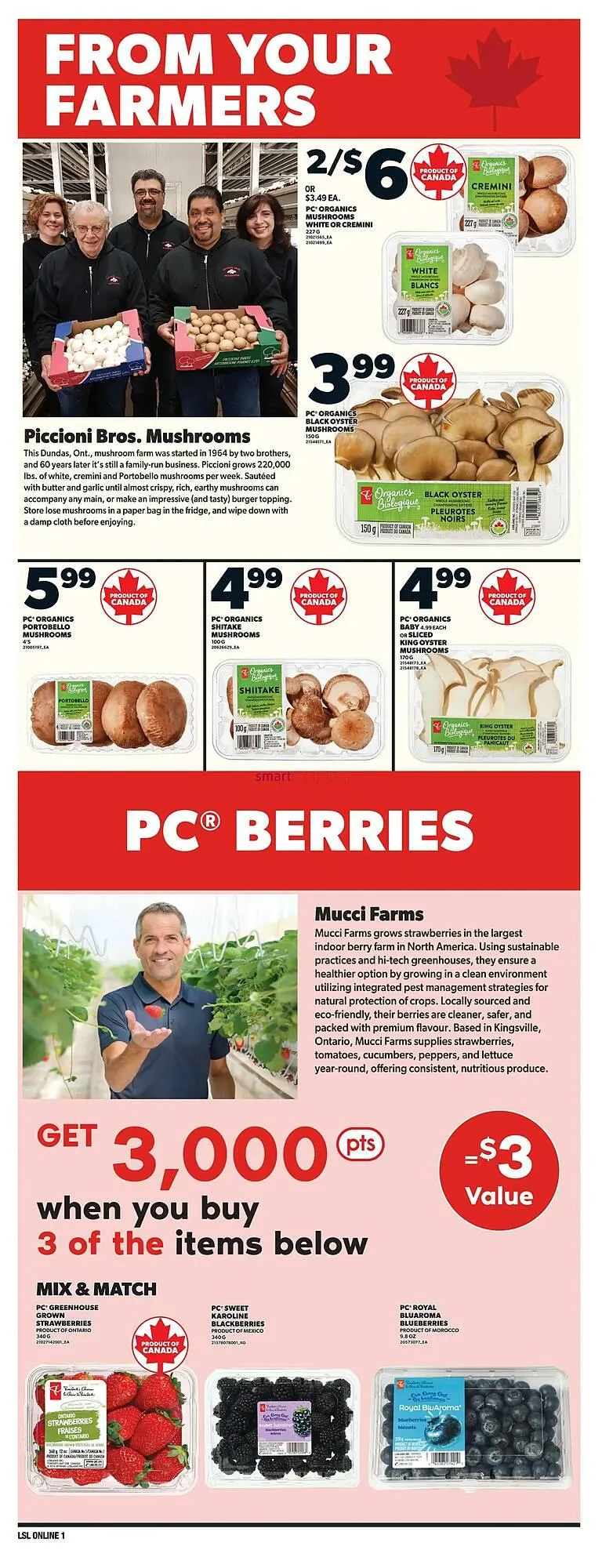 Loblaws flyer from March 27 to April 2 2025 - flyer page 9