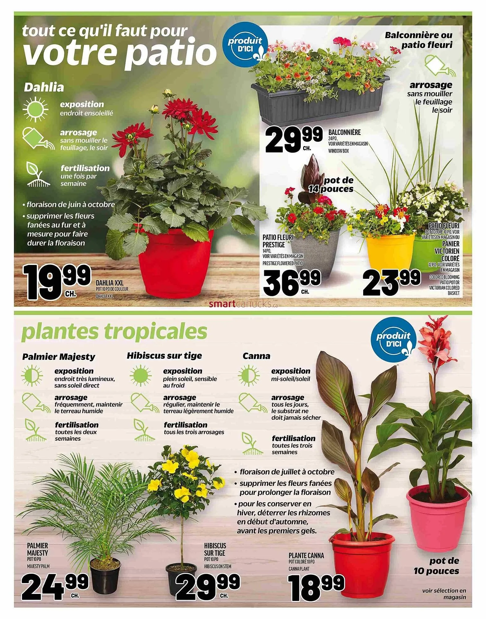 Metro flyer from May 22 to June 11 2025 - flyer page 29