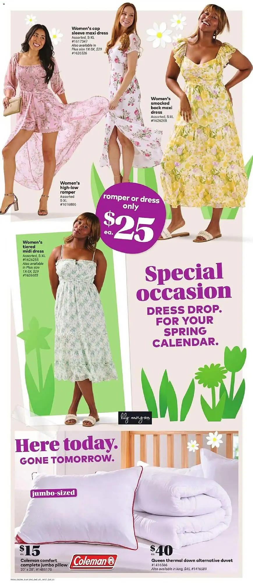 Giant Tiger flyer from March 11 to March 17 2026 - flyer page 4