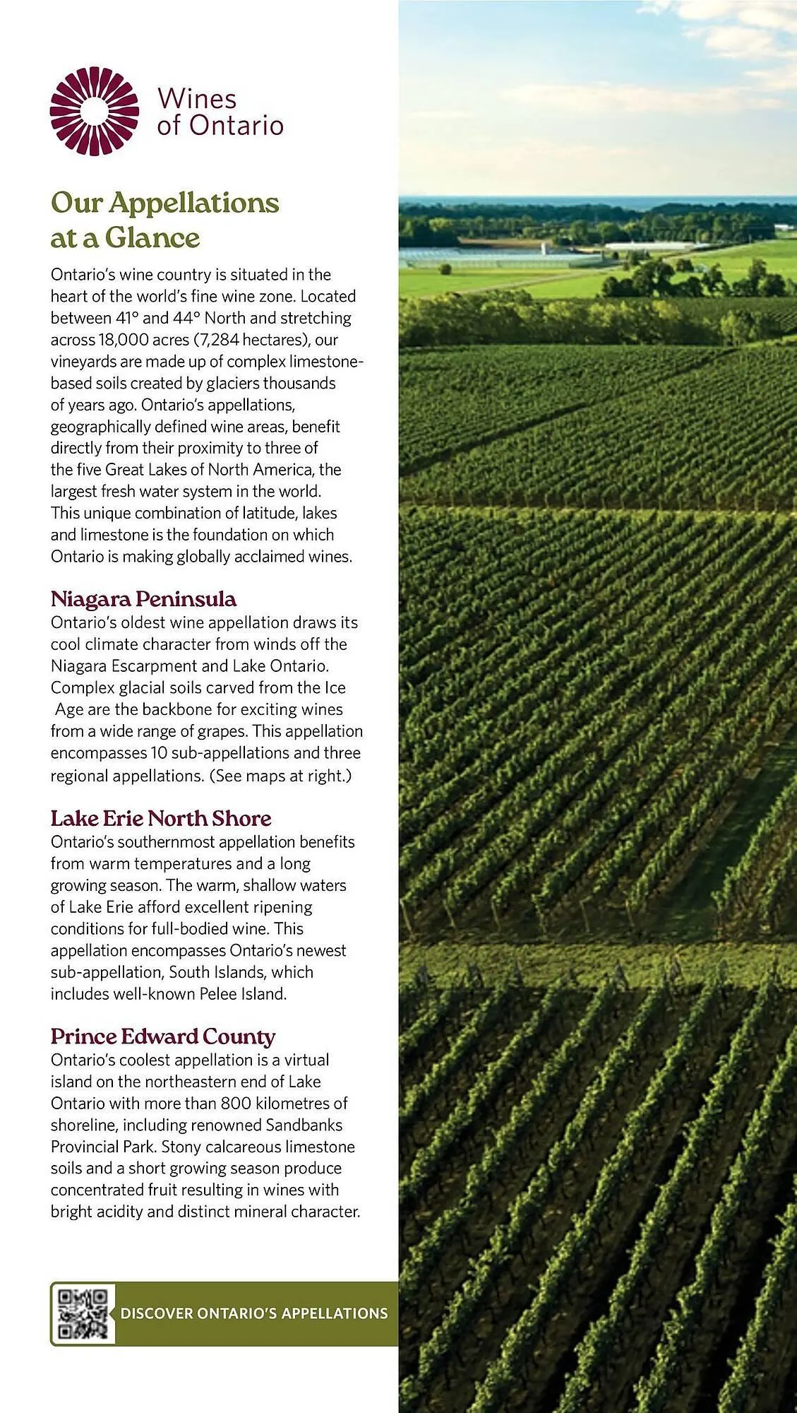 LCBO flyer from May 9 to May 15 2025 - flyer page 134