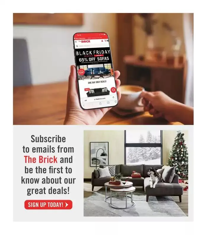 Great offer for bargain hunters from December 12 to December 23 2024 - flyer page 16