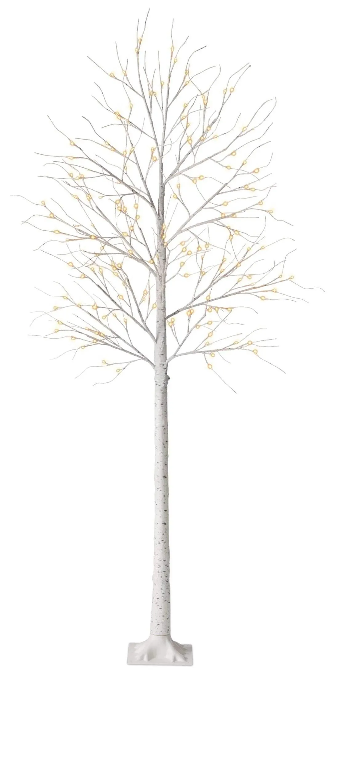 CANVAS 8' Birch Tree, Warm White
