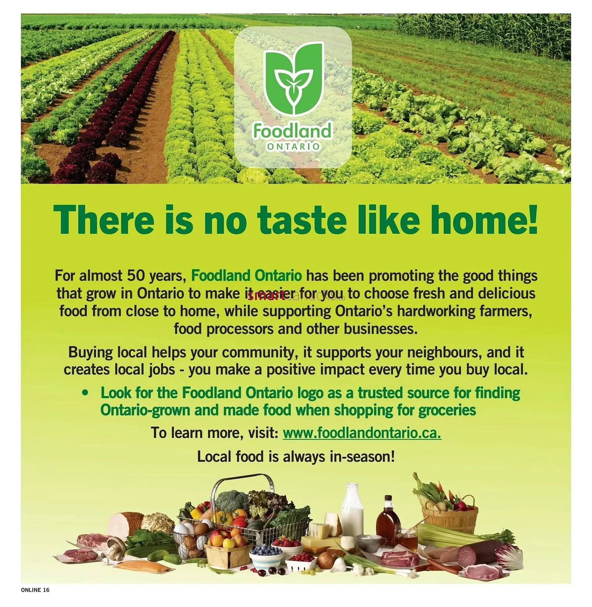 Fortinos flyer from August 7 to August 13 2025 - flyer page 16