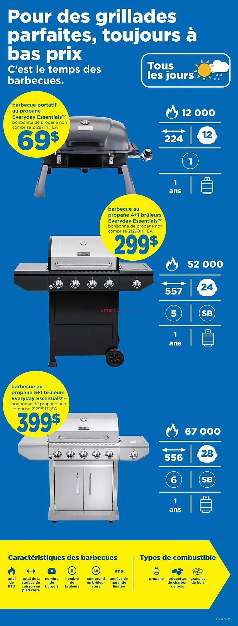 Maxi flyer from April 17 to April 23 2025 - flyer page 17