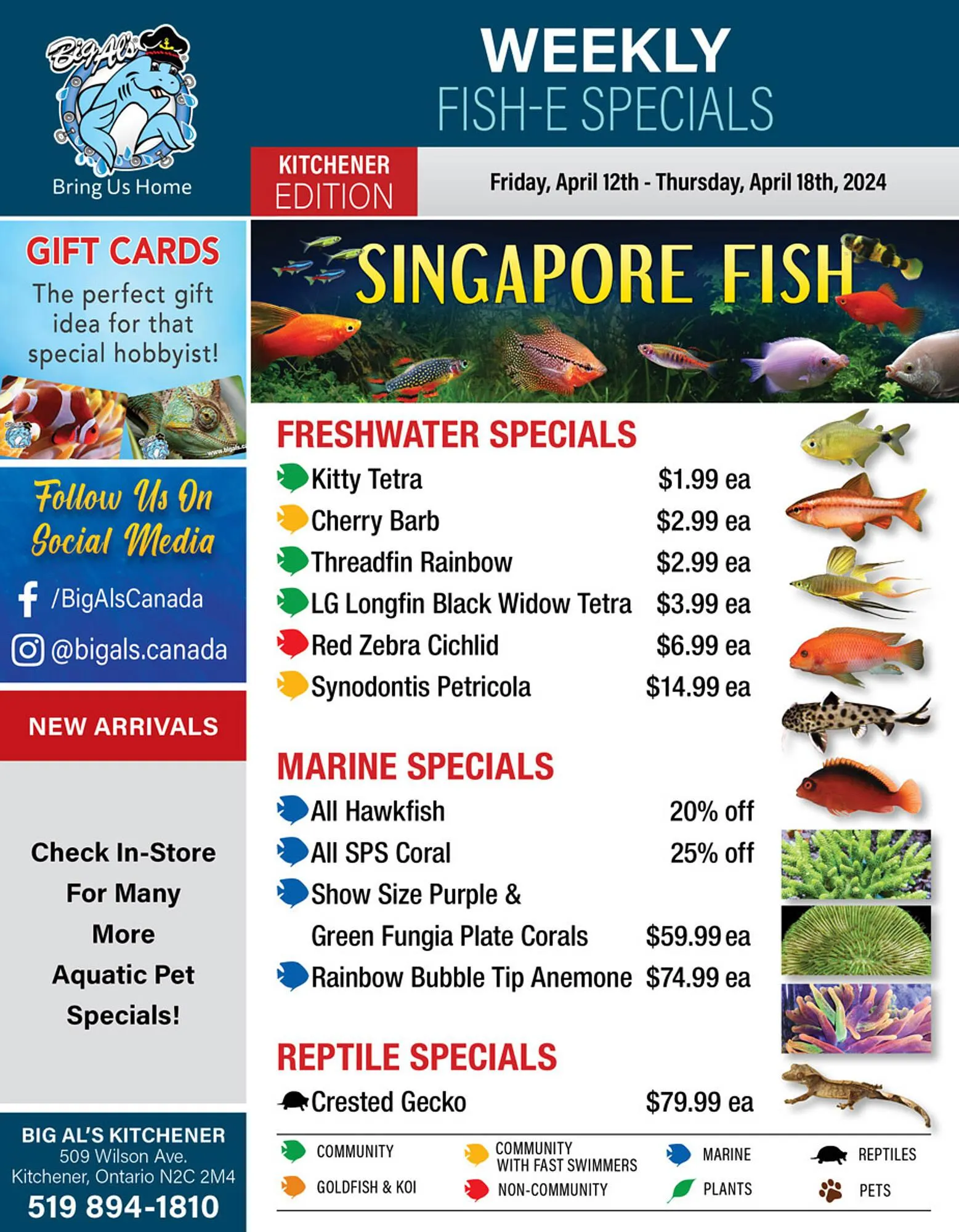 Big Al's Pets flyer - 1