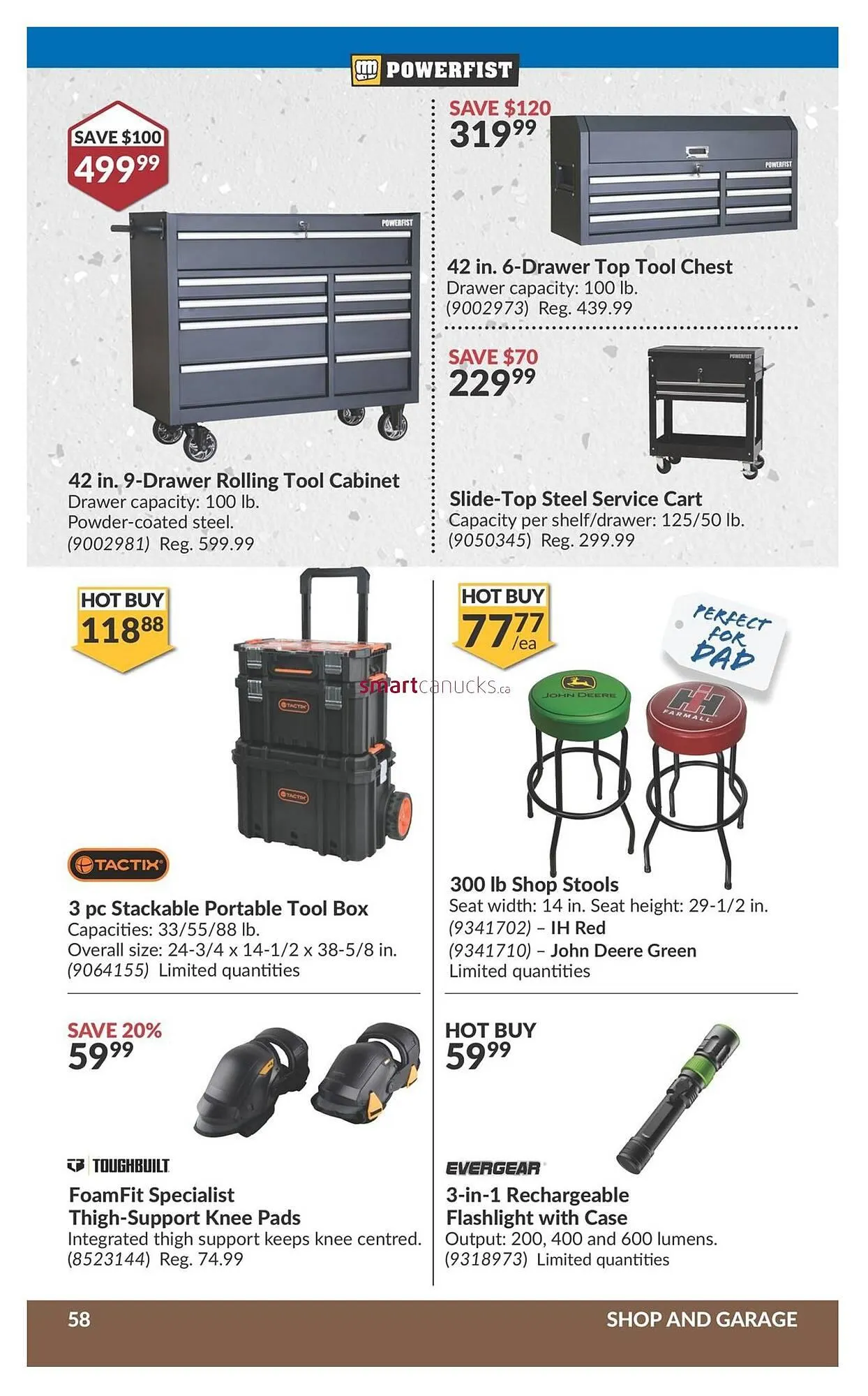 Princess Auto flyer from May 28 to June 3 2025 - flyer page 73