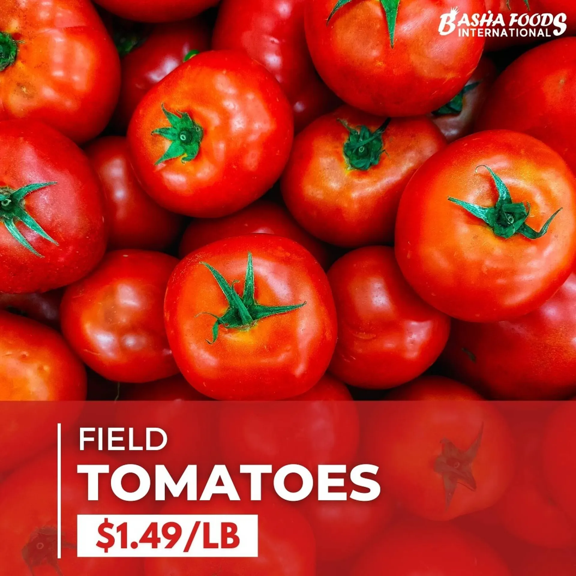 Basha Foods flyer from February 14 to February 20 2025 - flyer page 19