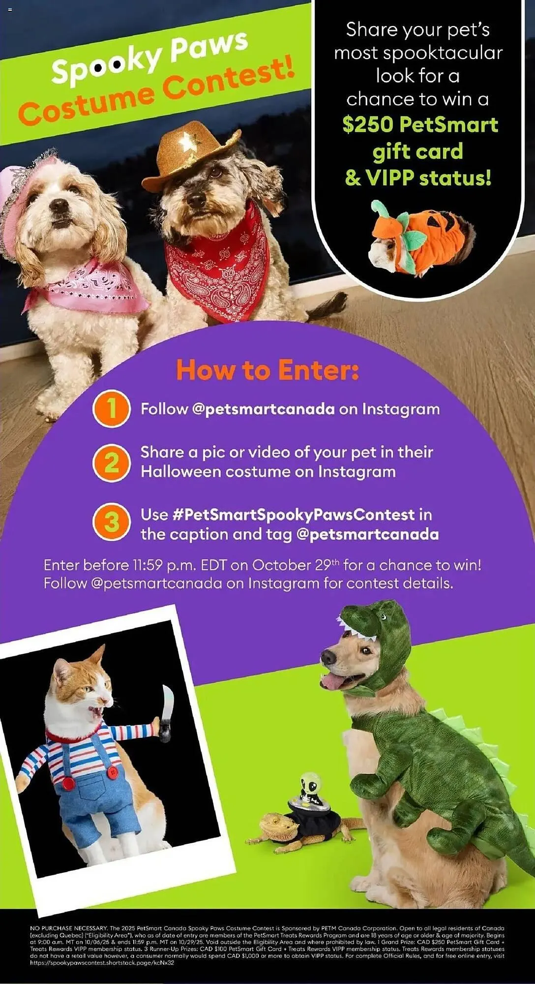 Petsmart flyer from September 8 to October 31 2025 - flyer page 8