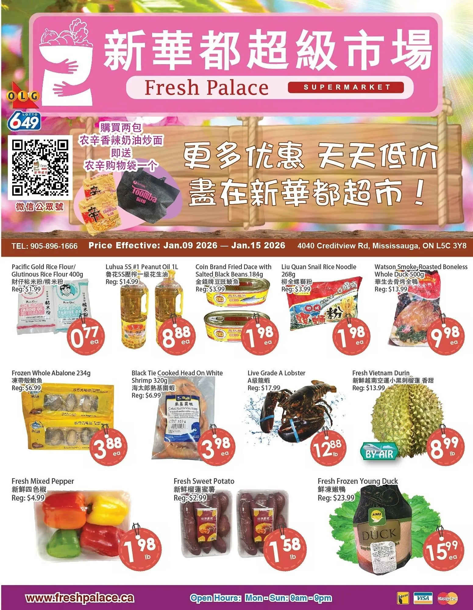 Fresh Palace Supermarket flyer from January 9 to January 15 2026 - flyer page 1