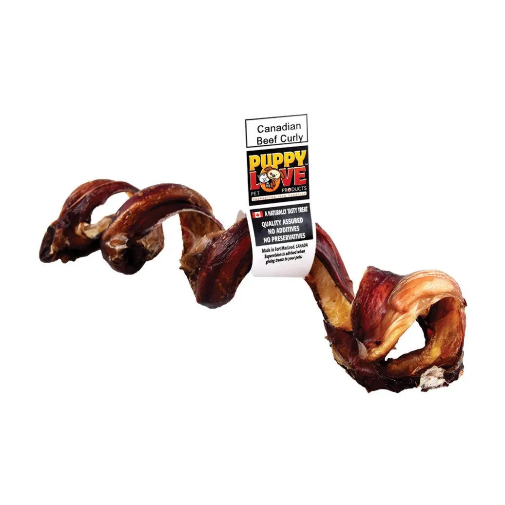 Puppy Love, Canadian Beef Curly - 8-10"