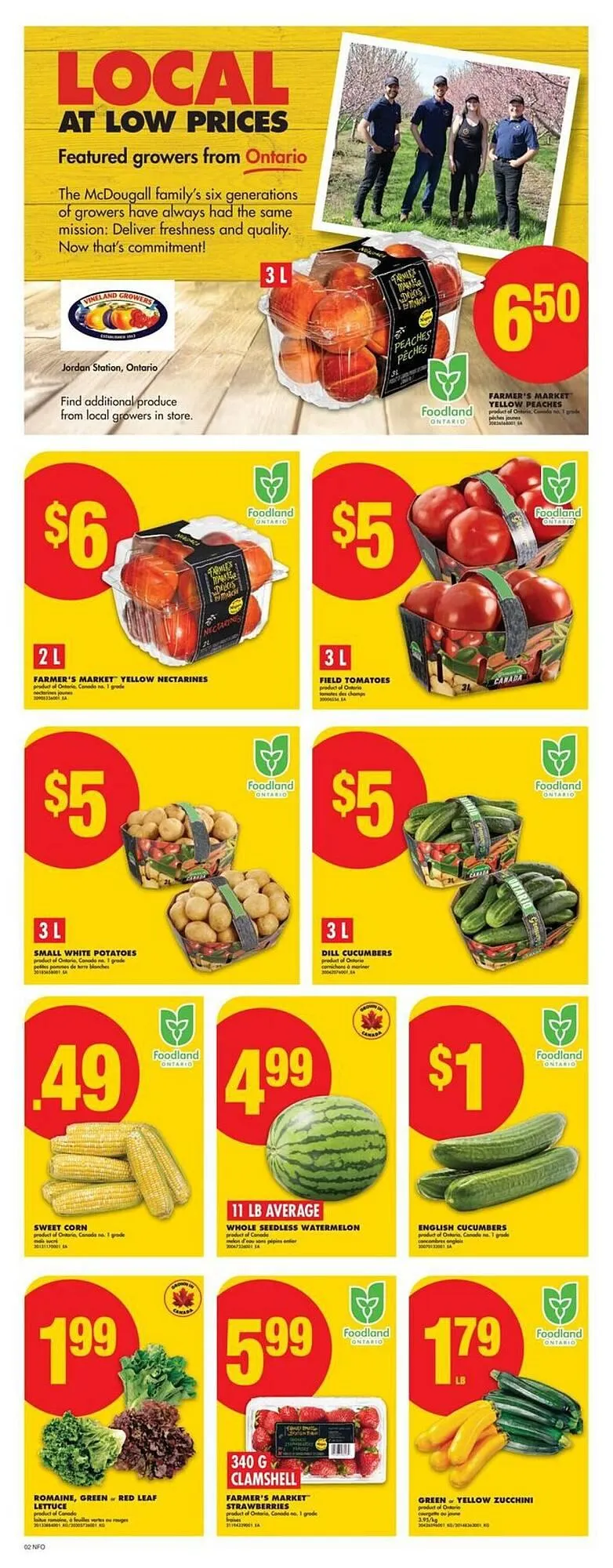 No Frills flyer from August 7 to August 13 2025 - flyer page 4