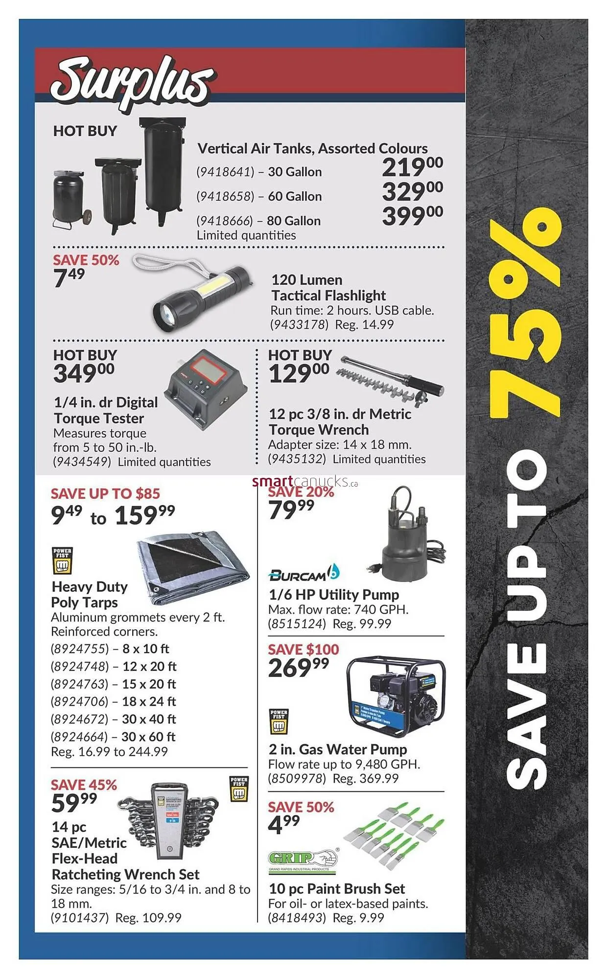 Princess Auto flyer from May 28 to June 3 2025 - flyer page 5