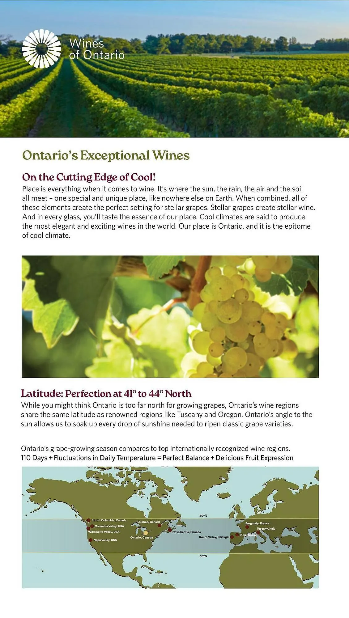LCBO flyer from May 9 to May 15 2025 - flyer page 132