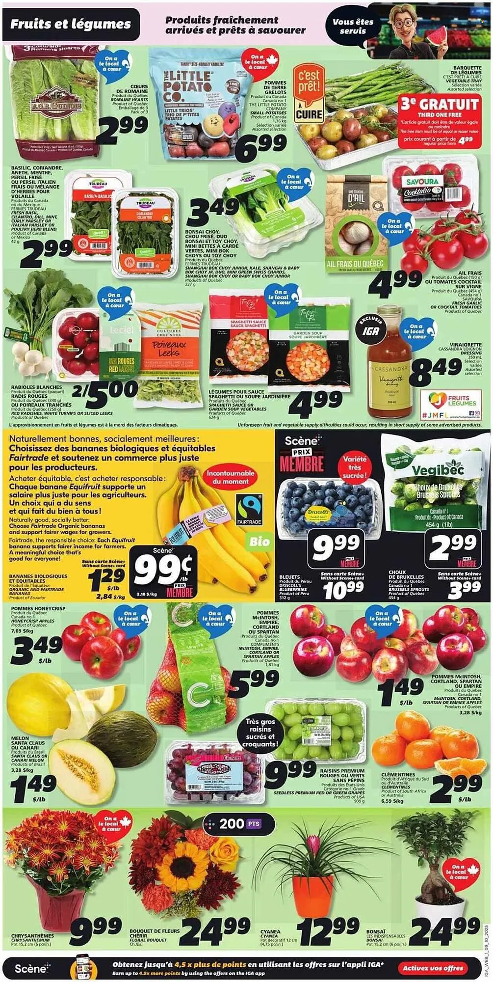 IGA flyer from October 9 to October 15 2025 - flyer page 5