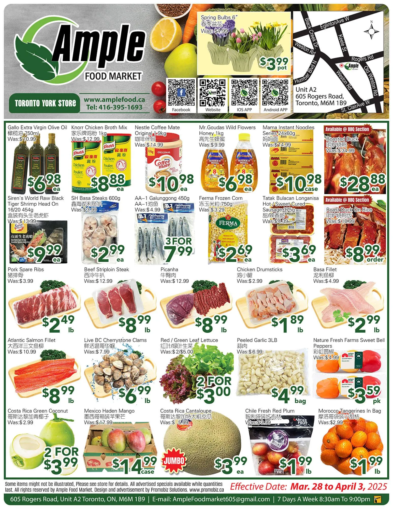Ample Food Market flyer from March 28 to April 3 2025 - flyer page 1