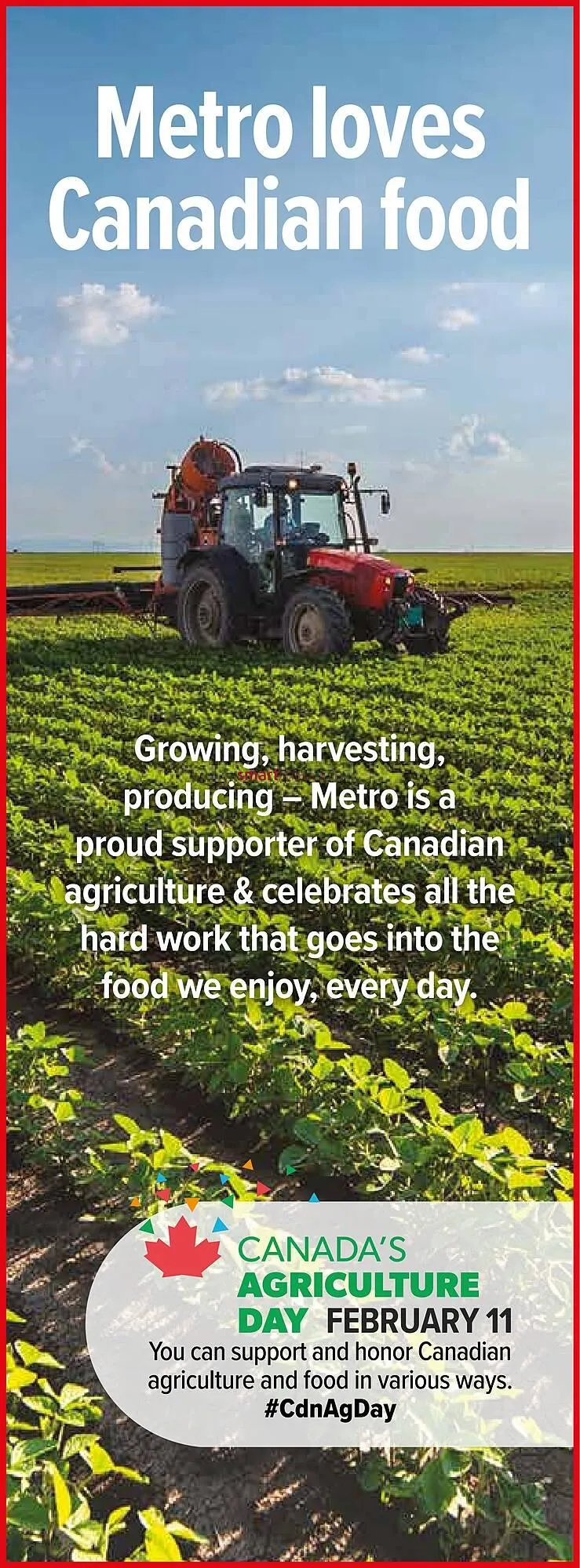 Metro flyer from February 5 to February 11 2026 - flyer page 15