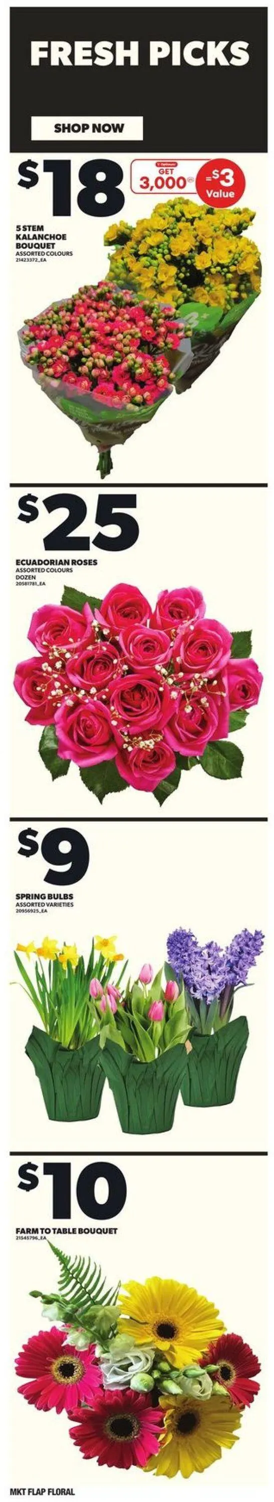 Independent Current flyer from March 27 to April 2 2025 - flyer page 10