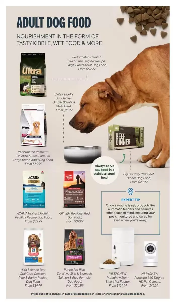 Devoted Dog Parent Guide from February 13 to February 28 2025 - flyer page 9