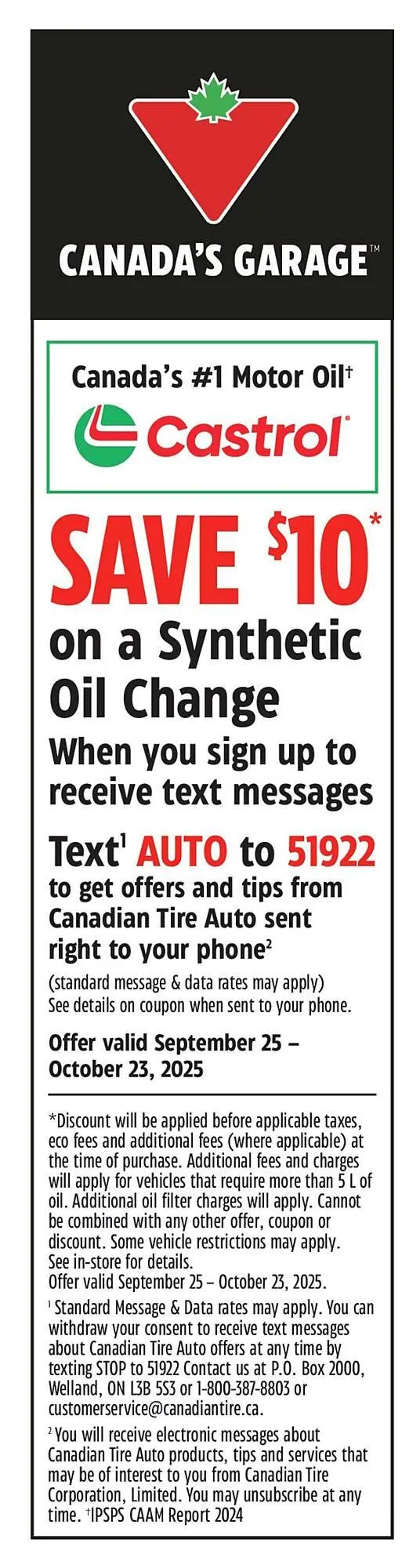 Canadian Tire flyer from October 16 to November 6 2025 - flyer page 41