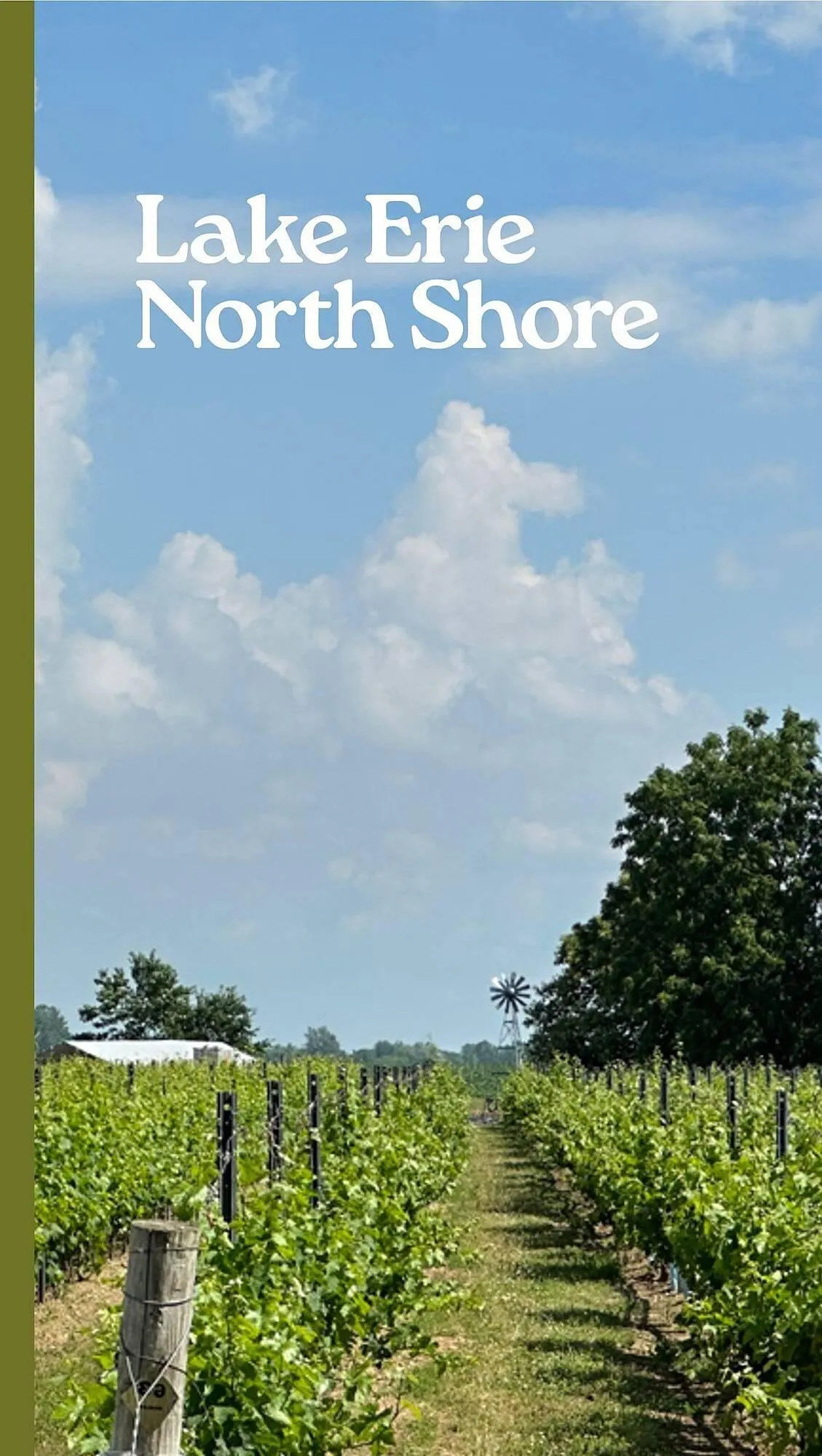 LCBO flyer from May 9 to May 15 2025 - flyer page 148