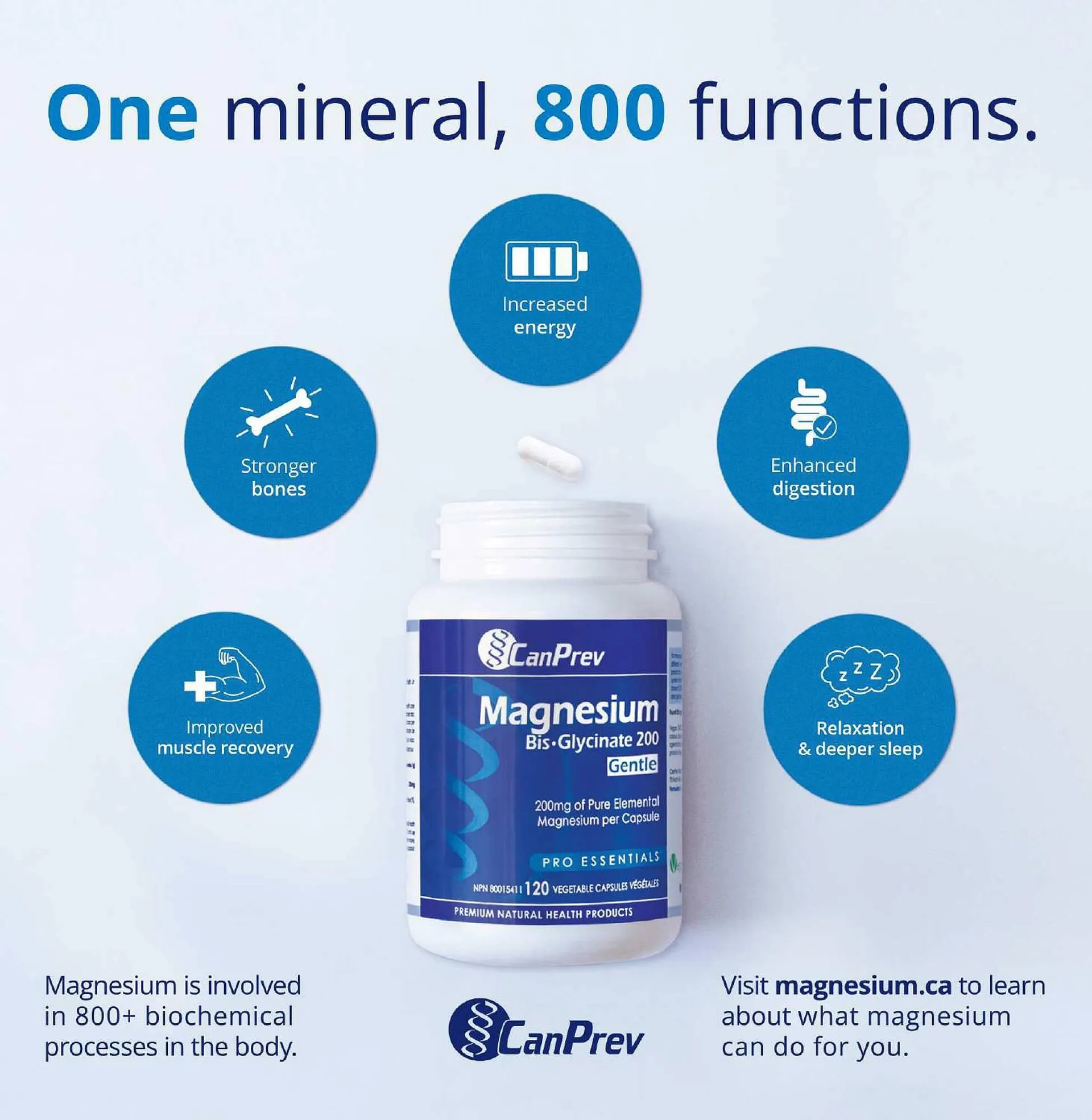 Ambrosia Natural Foods flyer from February 1 to February 28 2025 - flyer page 4