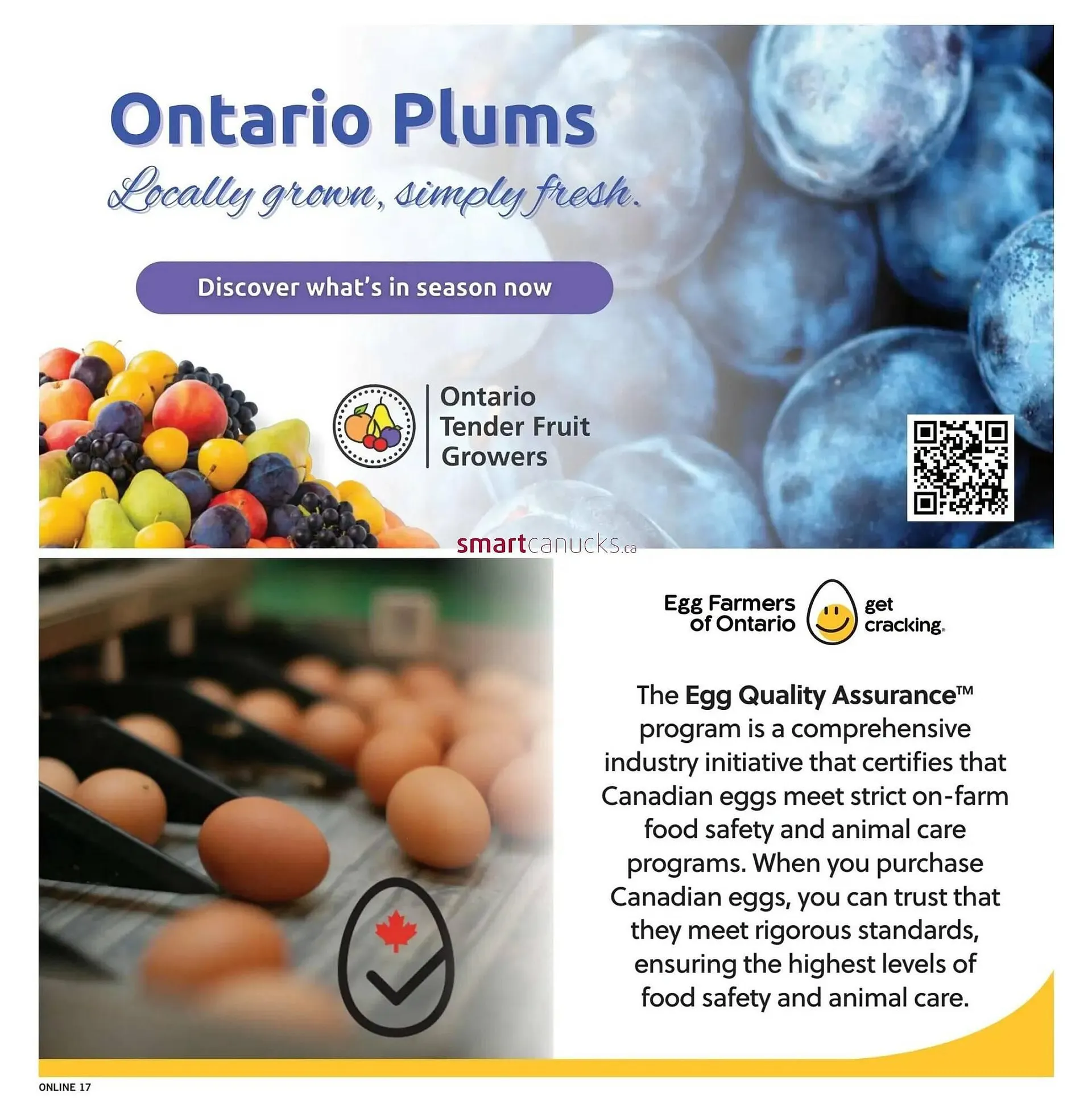 Fortinos flyer from August 7 to August 13 2025 - flyer page 17