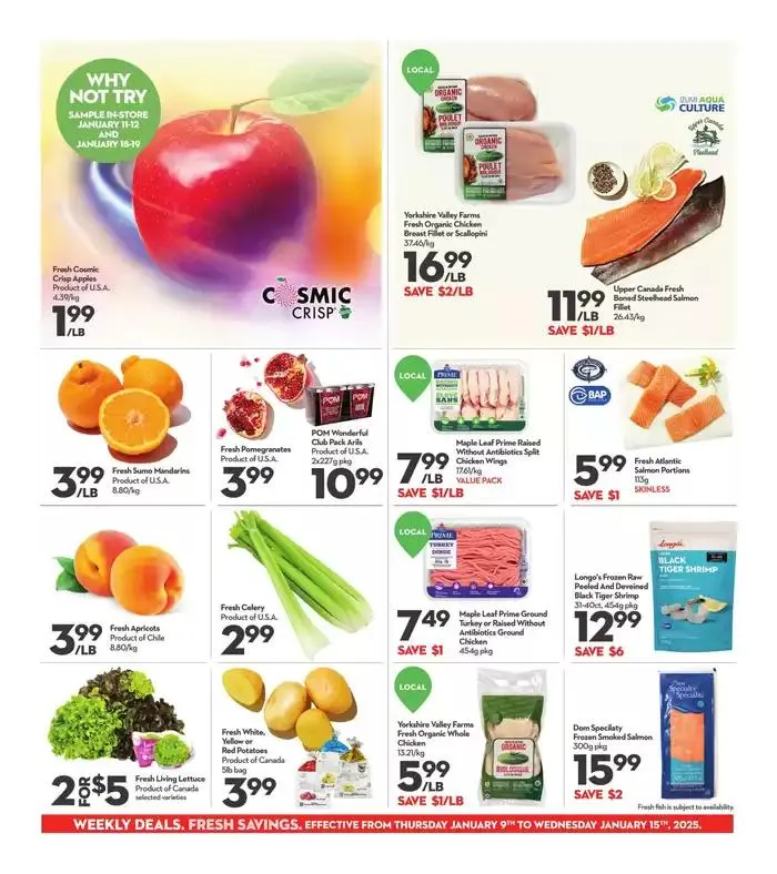 Weekly Flyer from January 9 to January 15 2025 - flyer page 3