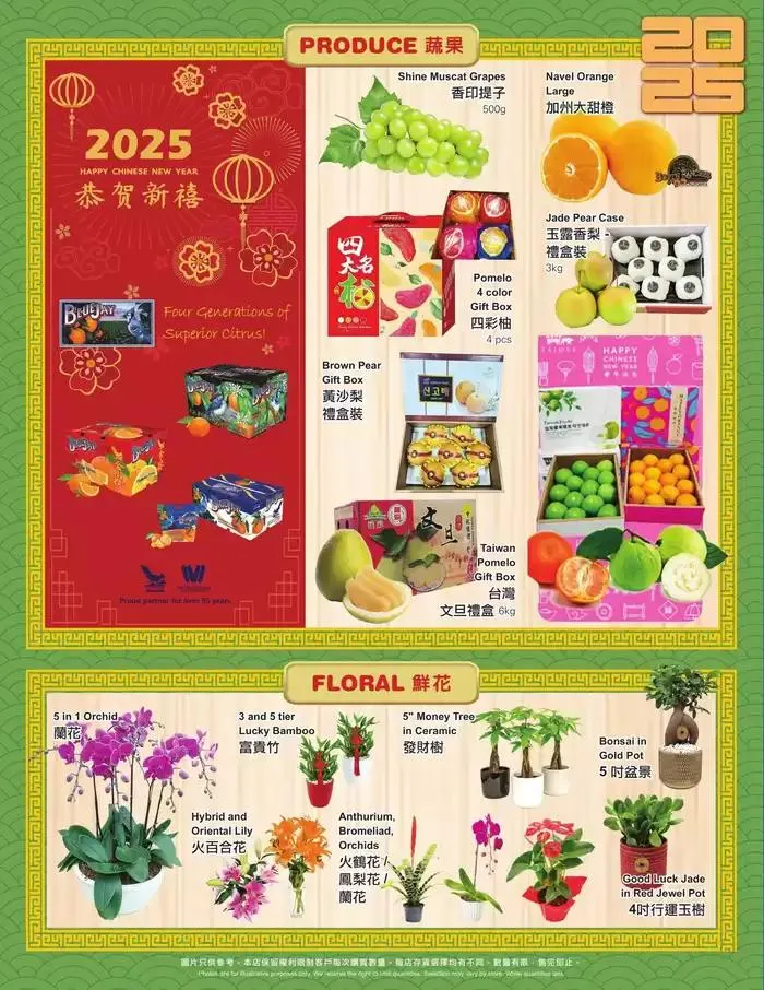 PriceSmart foods Weekly ad from January 2 to January 29 2025 - flyer page 6