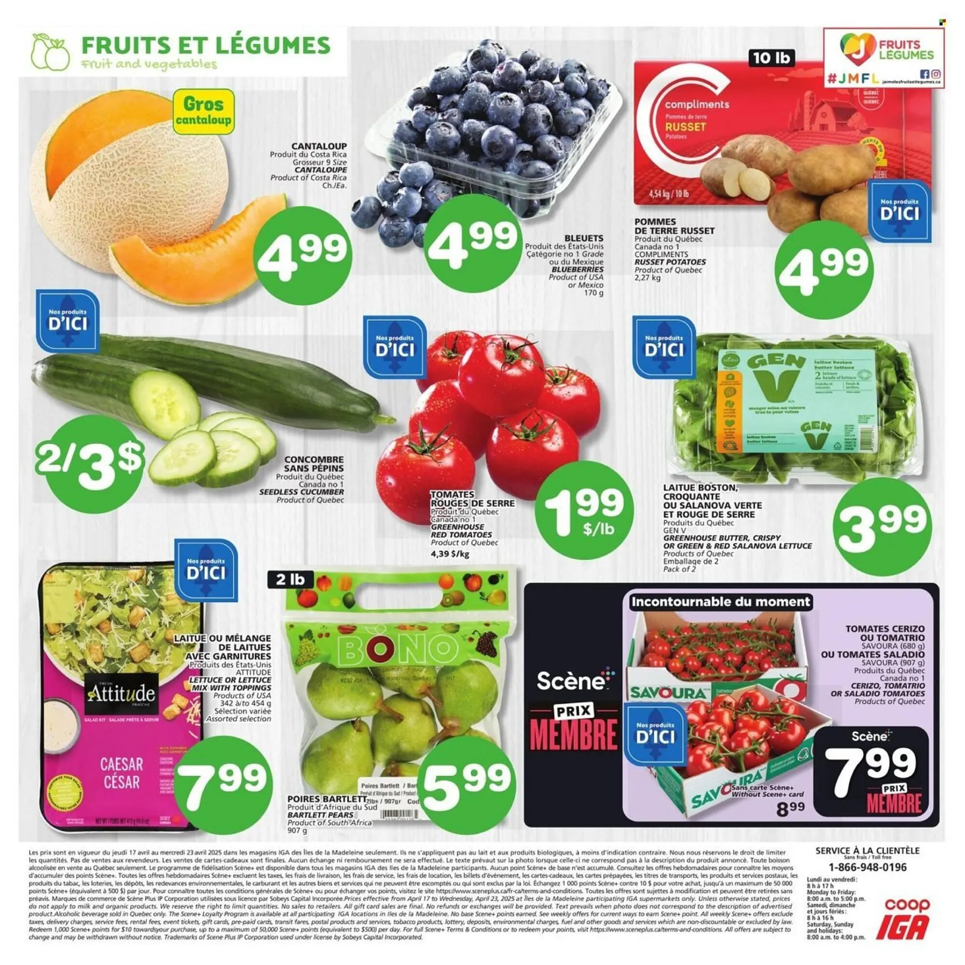 IGA flyer from April 17 to April 23 2025 - flyer page 8