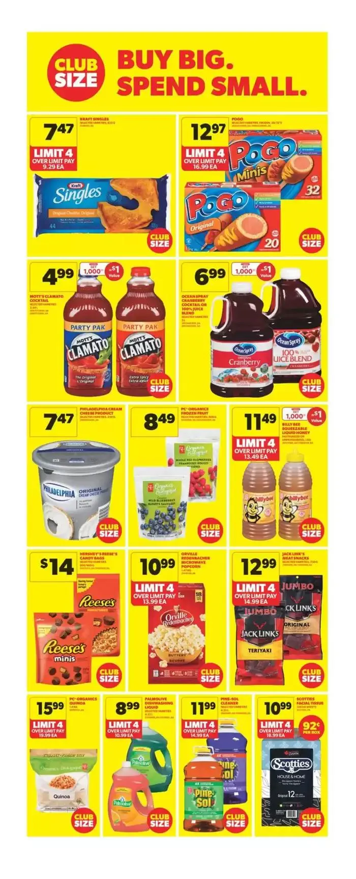 Weekly Flyer from February 27 to March 5 2025 - flyer page 13