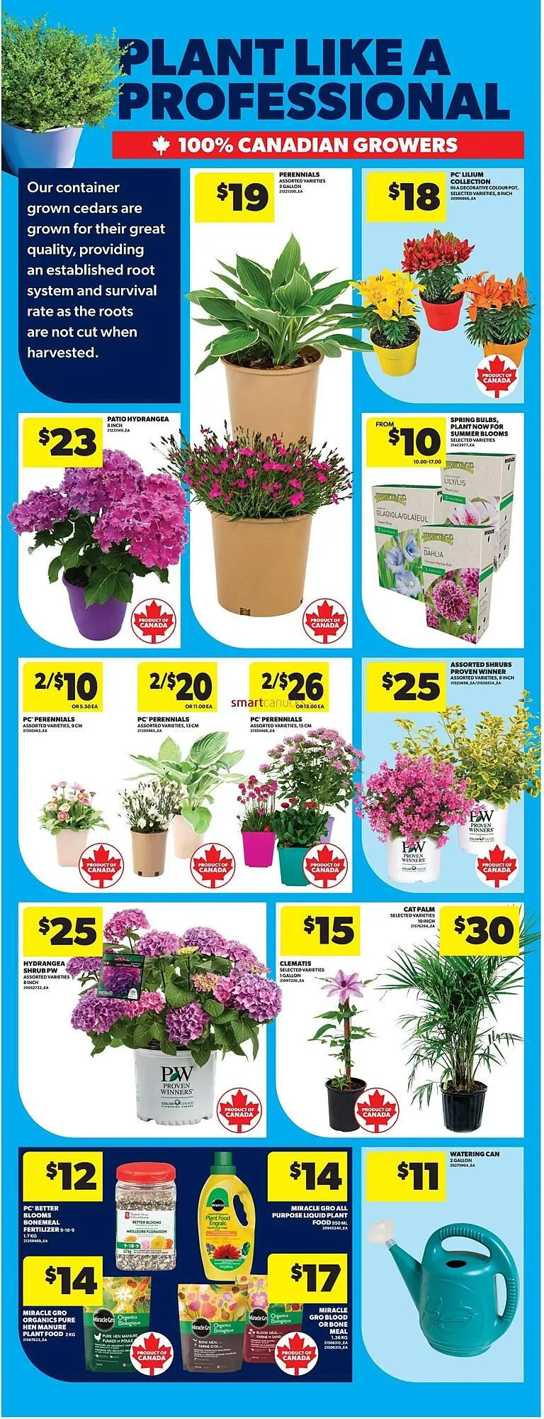 Real Canadian Superstore flyer from May 8 to May 14 2025 - flyer page 49