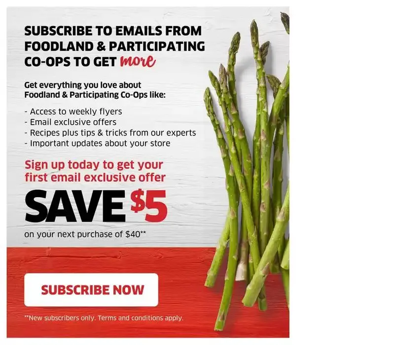 ATL Weekly from January 16 to January 22 2025 - flyer page 13