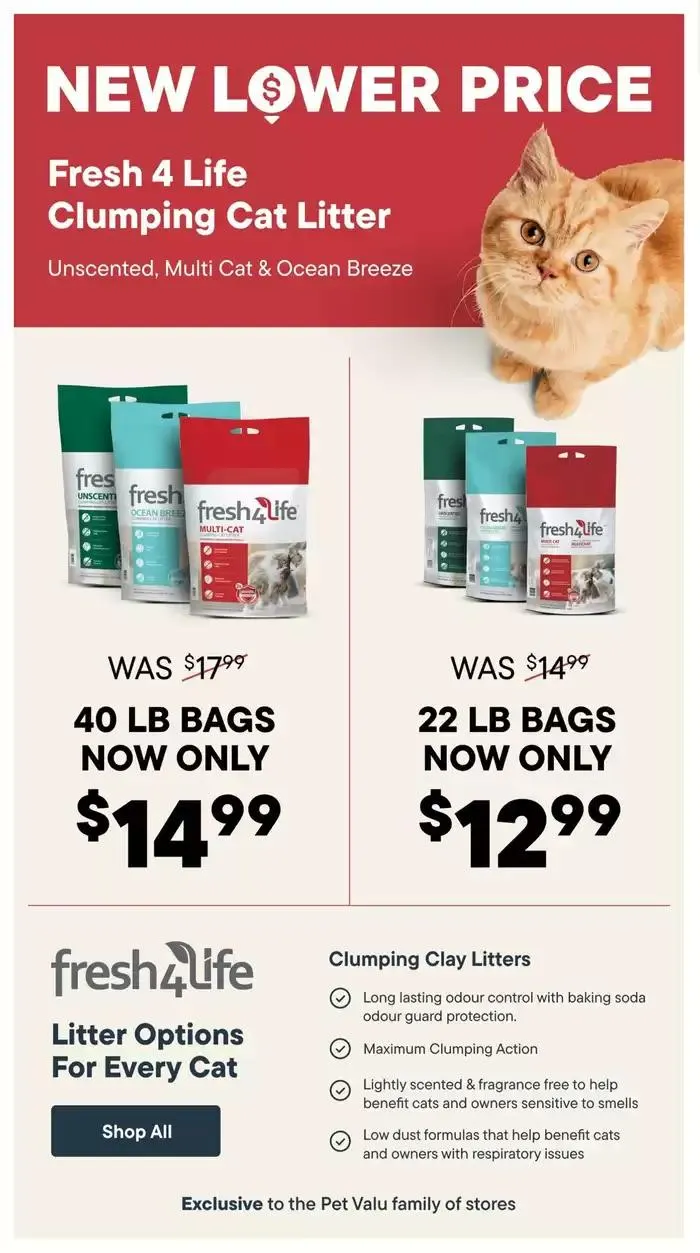 Fresh Start Savings from January 14 to January 15 2025 - flyer page 17