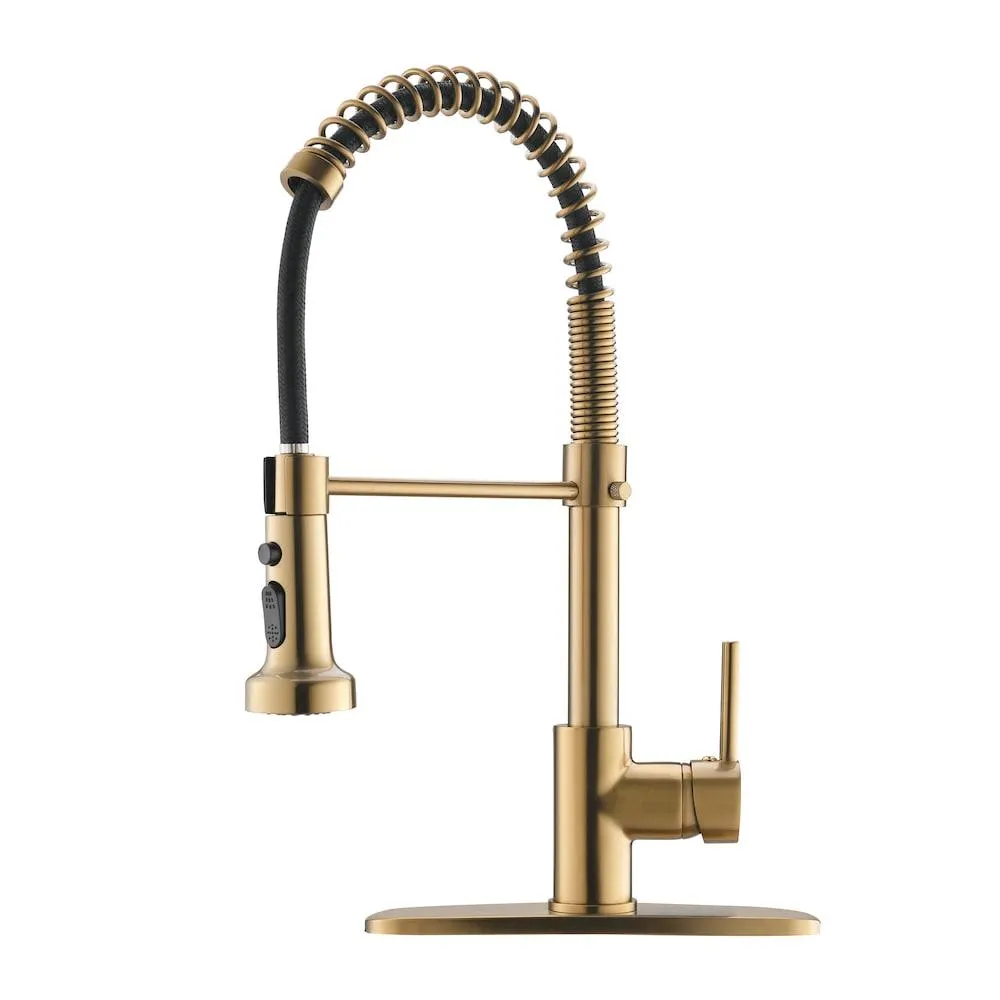 QZ2 Single-Handle Pull-Down Sprayer Kitchen Faucet in Brushed Gold
