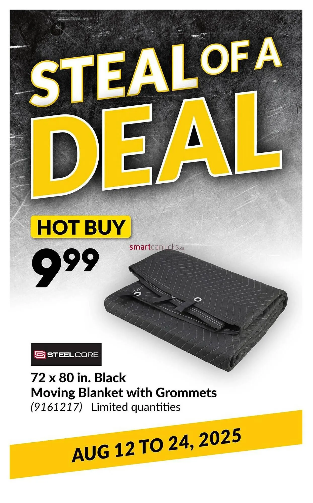 Princess Auto flyer from August 12 to August 24 2025 - flyer page 22