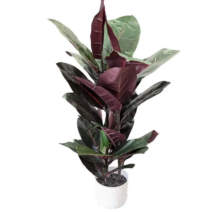 UN-REAL 70cm Artificial Burgundy Rubber Plant