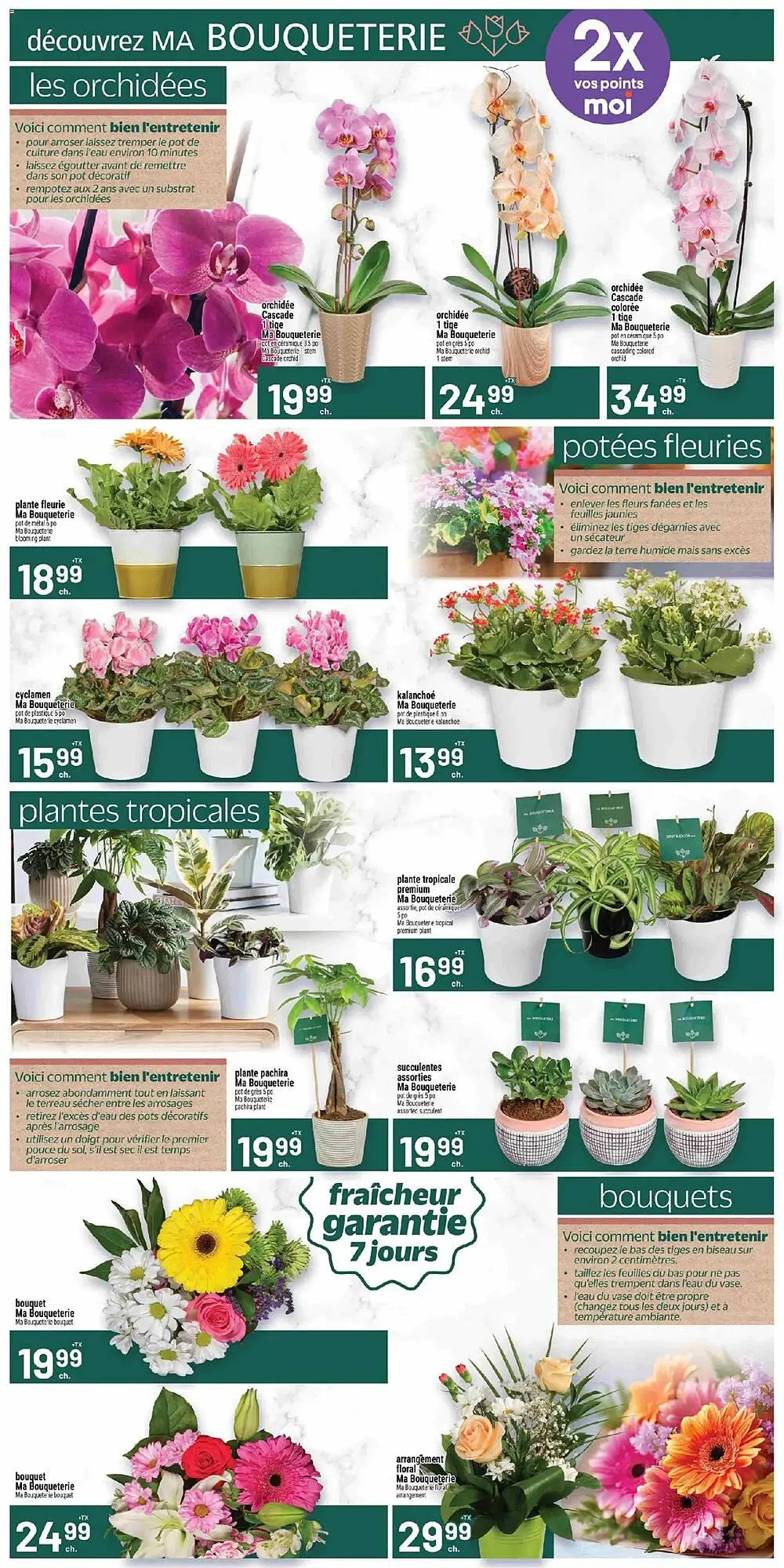 Metro flyer from January 29 to February 5 2026 - flyer page 8