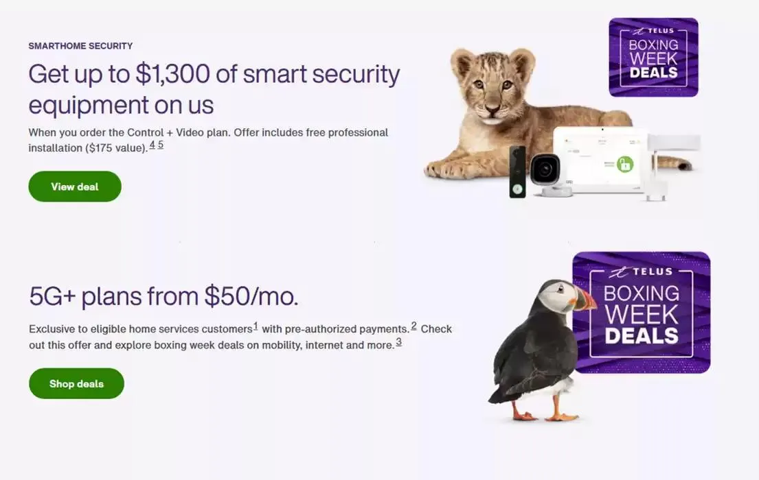 Boxing Week Deals - 1