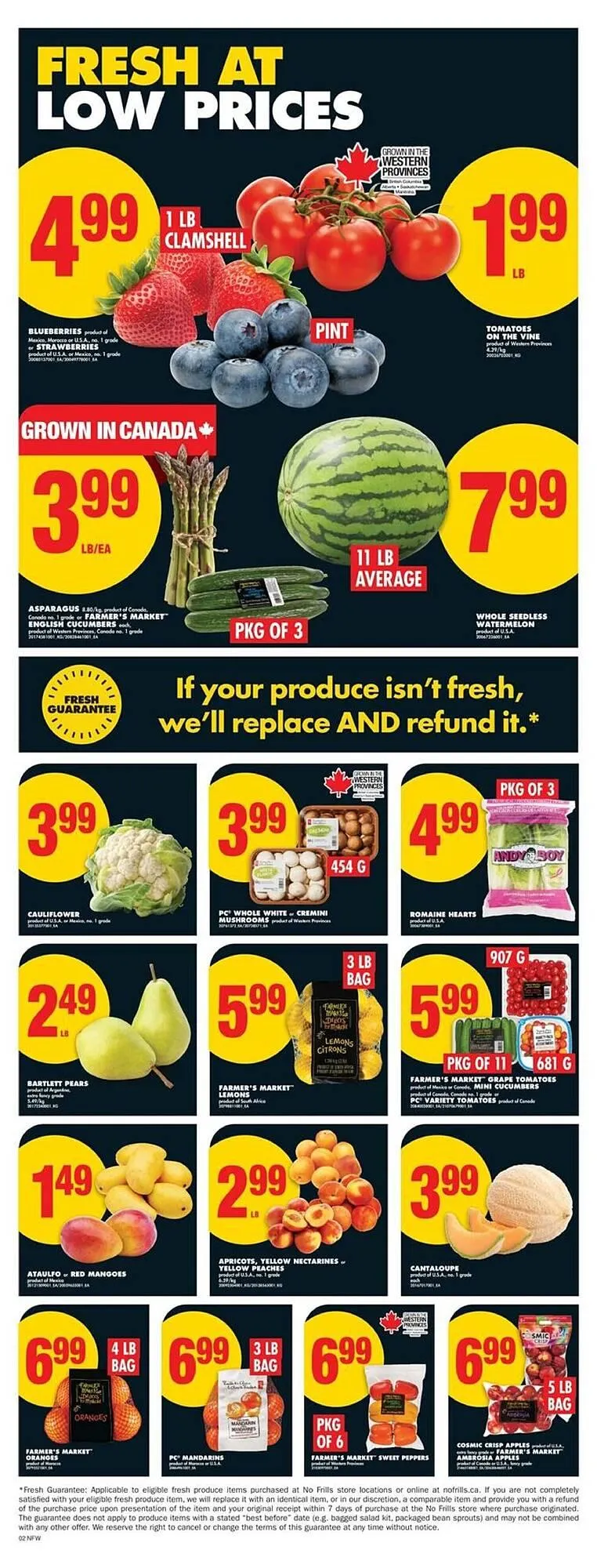 No Frills flyer from June 19 to June 26 2025 - flyer page 3