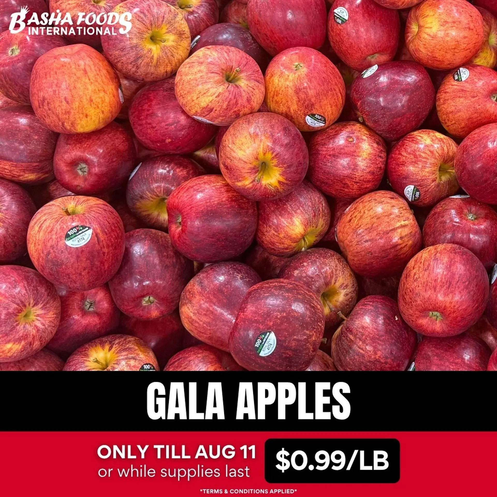 Basha Foods flyer from August 8 to August 11 2025 - flyer page 3