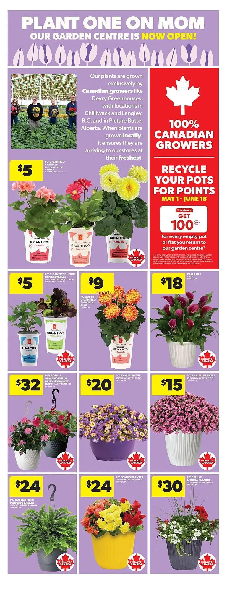 Real Canadian Superstore flyer from May 8 to May 14 2025 - flyer page 17