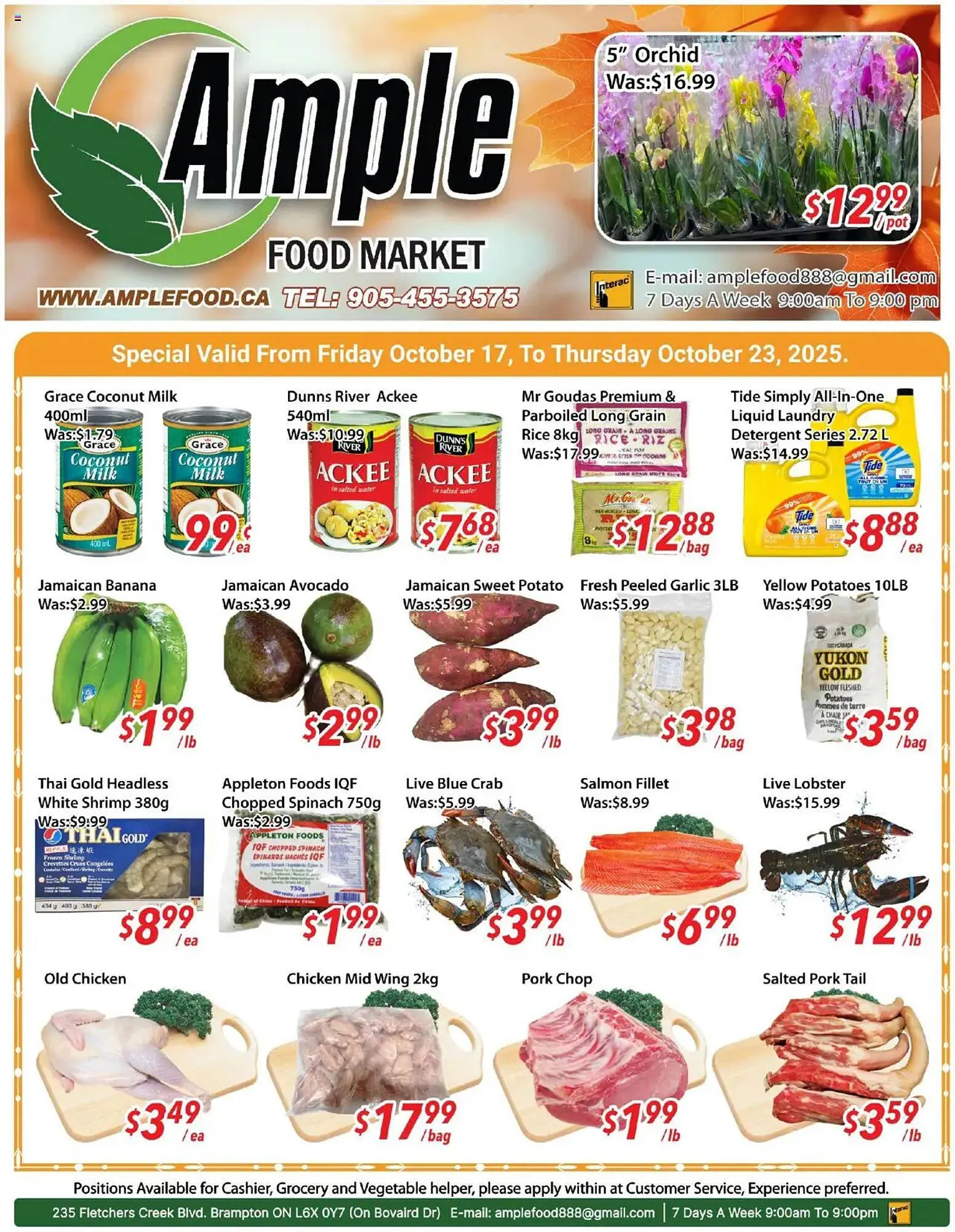 Ample Food Market flyer from October 17 to October 23 2025 - flyer page 1