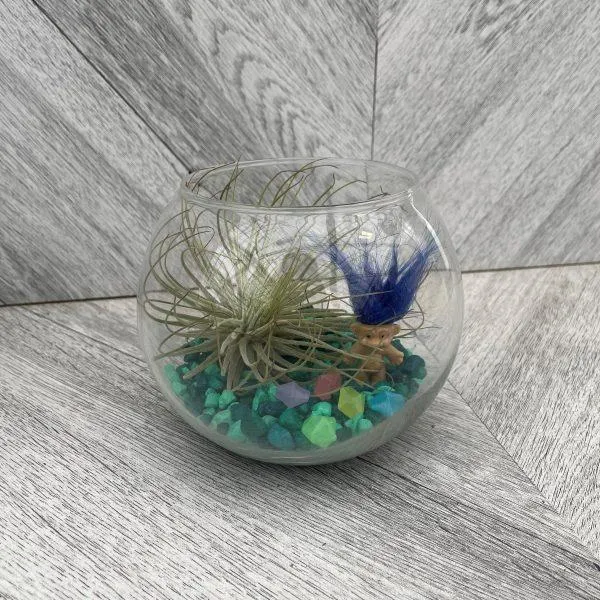 Trolltopia Terrarium Mini