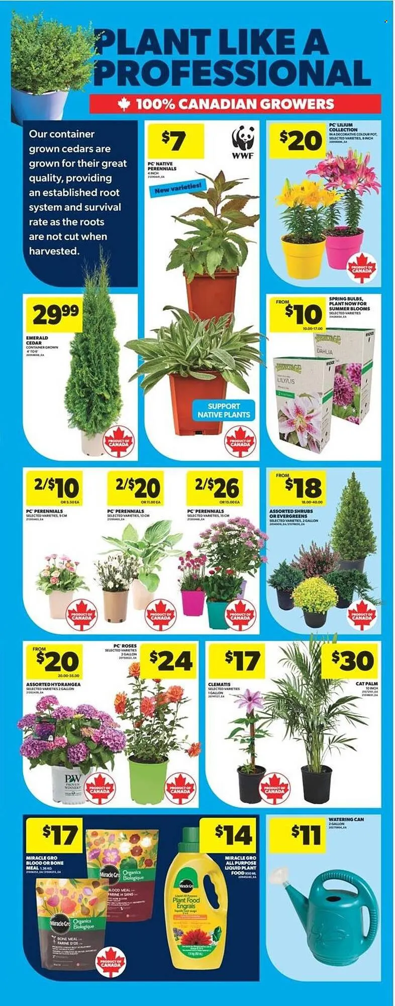 Real Canadian Superstore flyer from May 15 to May 21 2025 - flyer page 39